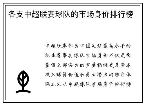 各支中超联赛球队的市场身价排行榜