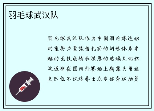羽毛球武汉队
